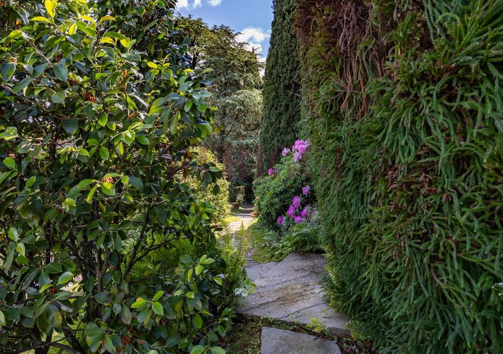 passaggio tra alberi e piante - oggiono - villa in vendita - meriggi