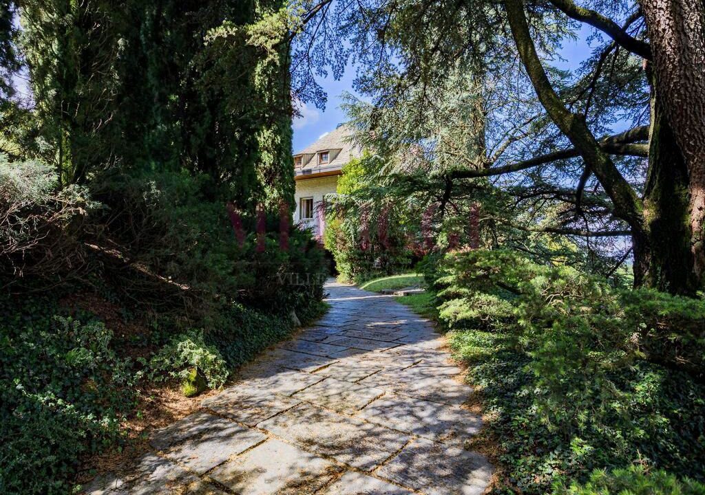vialetto con alberi e arbusti - oggiono - villa in vendita - meriggi