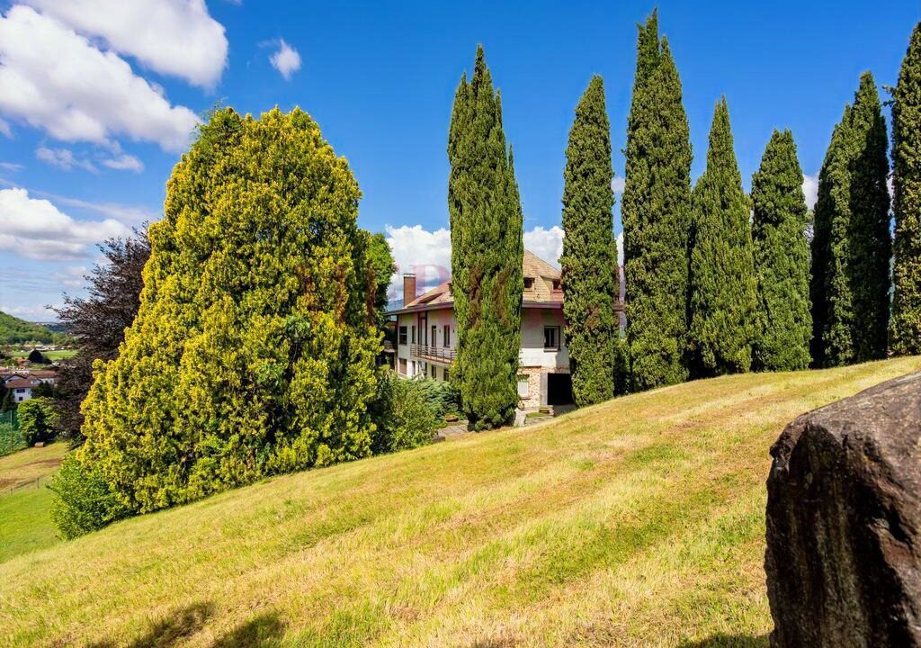villa e alberi visti da est - oggiono - villa in vendita - meriggi