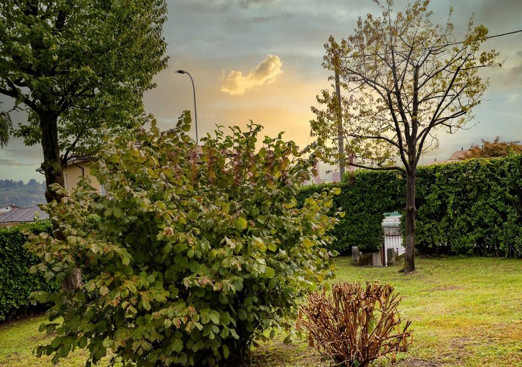 giardino a ovest - brongio - piazza fumagalli - vendita villa - meriggi