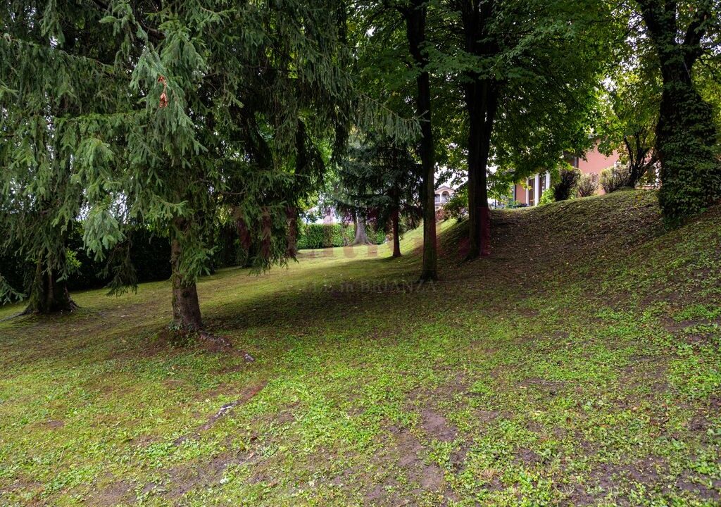 giardino scosceso a nord - brongio - piazza fumagalli - vendita villa - meriggi