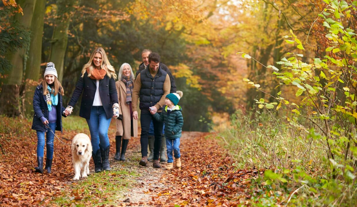 Famiglia che cammina nel bosco