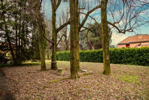 alberi in giardino - villa casatenovo montecarmelo - meriggi