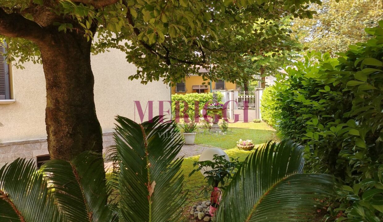 giardino con palma e vista ingresso- villa vendita - cusano milanino - meriggi