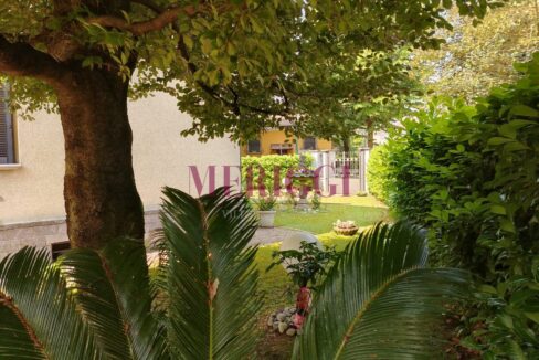 giardino con palma e vista ingresso- villa vendita - cusano milanino - meriggi