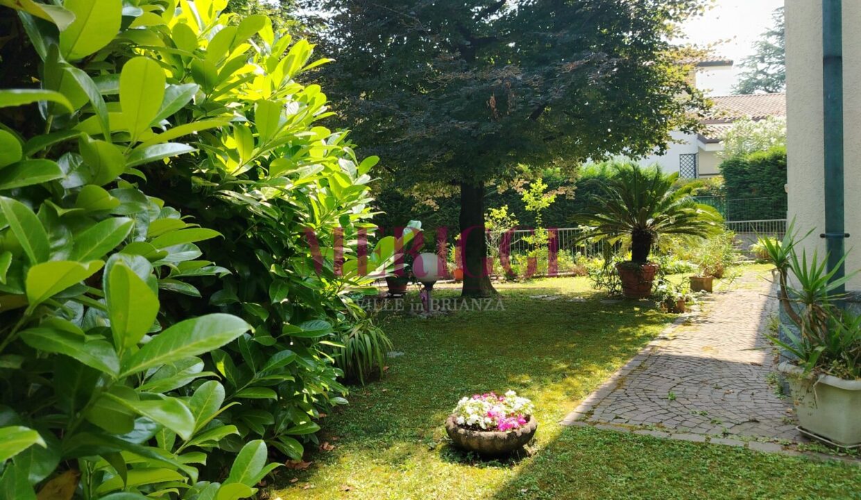 giardino con palma- villa vendita - cusano milanino - meriggi