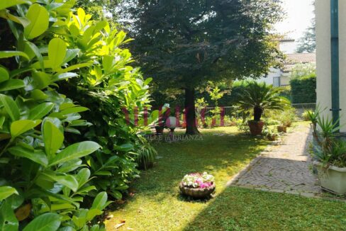 giardino con palma- villa vendita - cusano milanino - meriggi