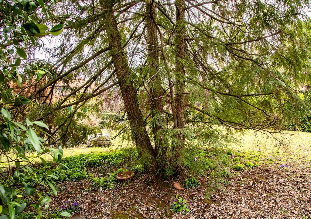 giardino - villa casatenovo montecarmelo - meriggi
