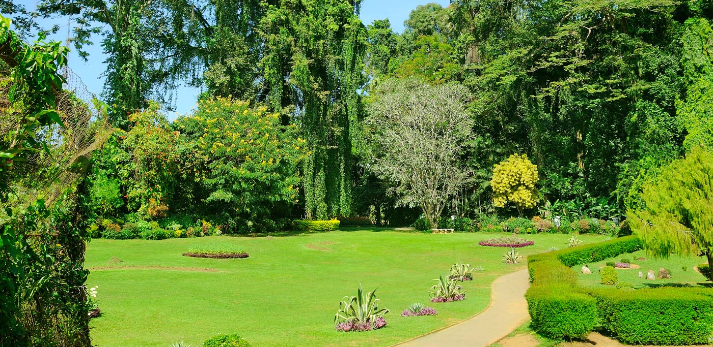 Giardino villa di lusso