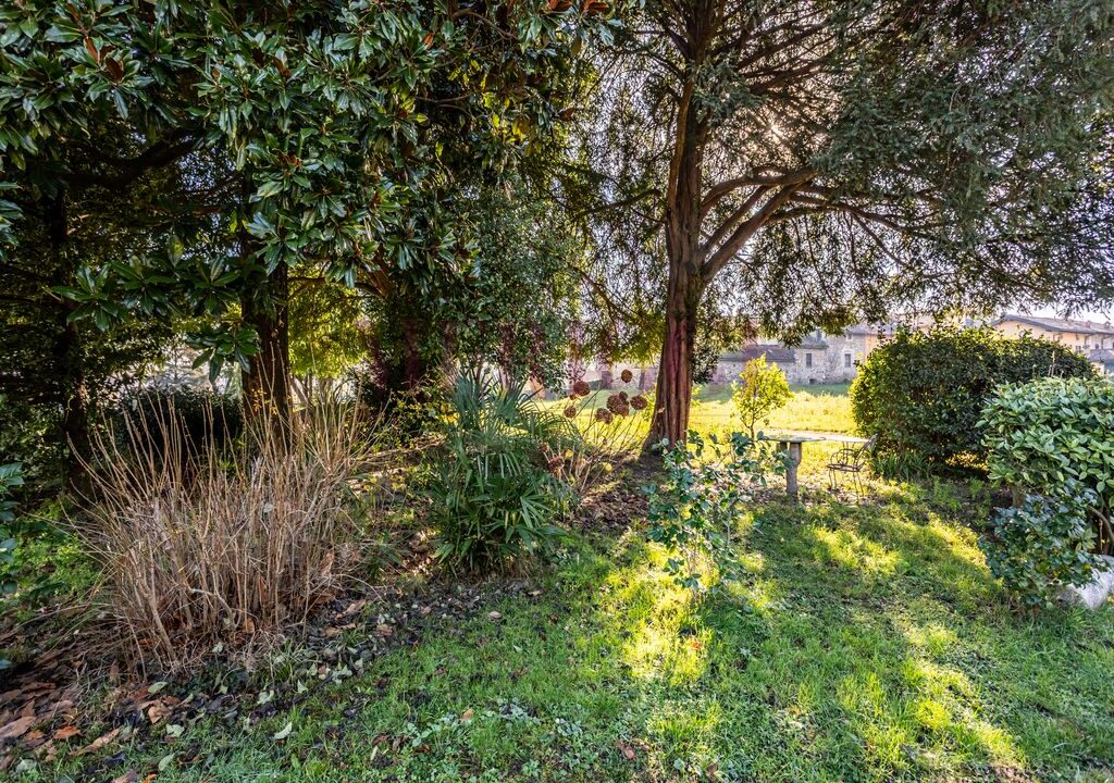 magnolia centenaria - villa epoca erba - vendita - meriggi