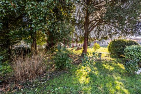 magnolia centenaria - villa epoca erba - vendita - meriggi