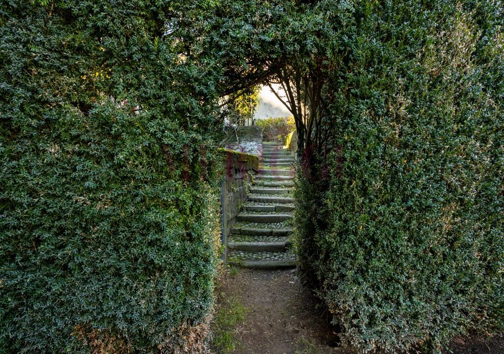 siepe con accesso alla scalinata - villa epoca erba - vendita - meriggi