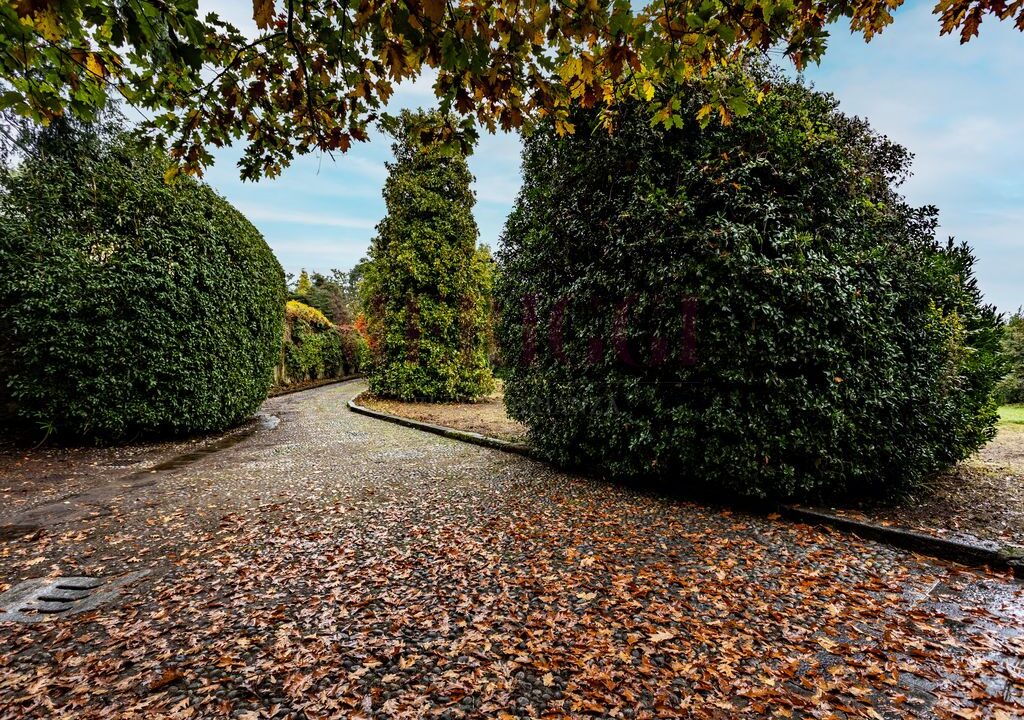 vialetto d'ingresso - villa alzate brianza - vendita - meriggi