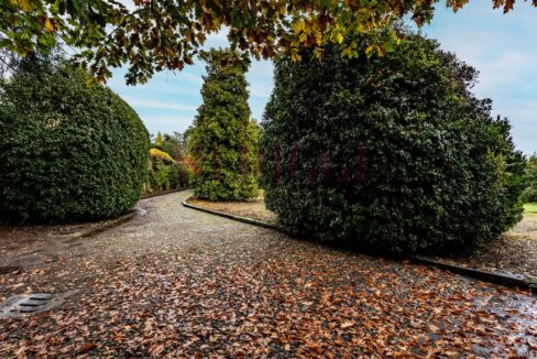 vialetto d'ingresso - villa alzate brianza - vendita - meriggi