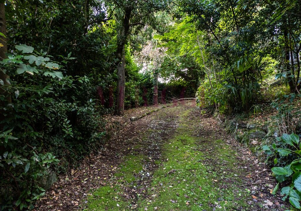 vialetto ingresso - villa Asso - vendita - Meriggi