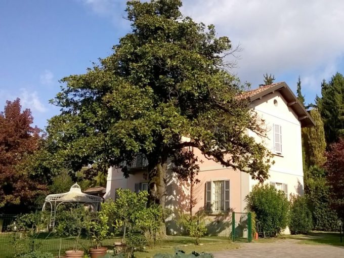 Meriggi - Villa in vendita - Barzano